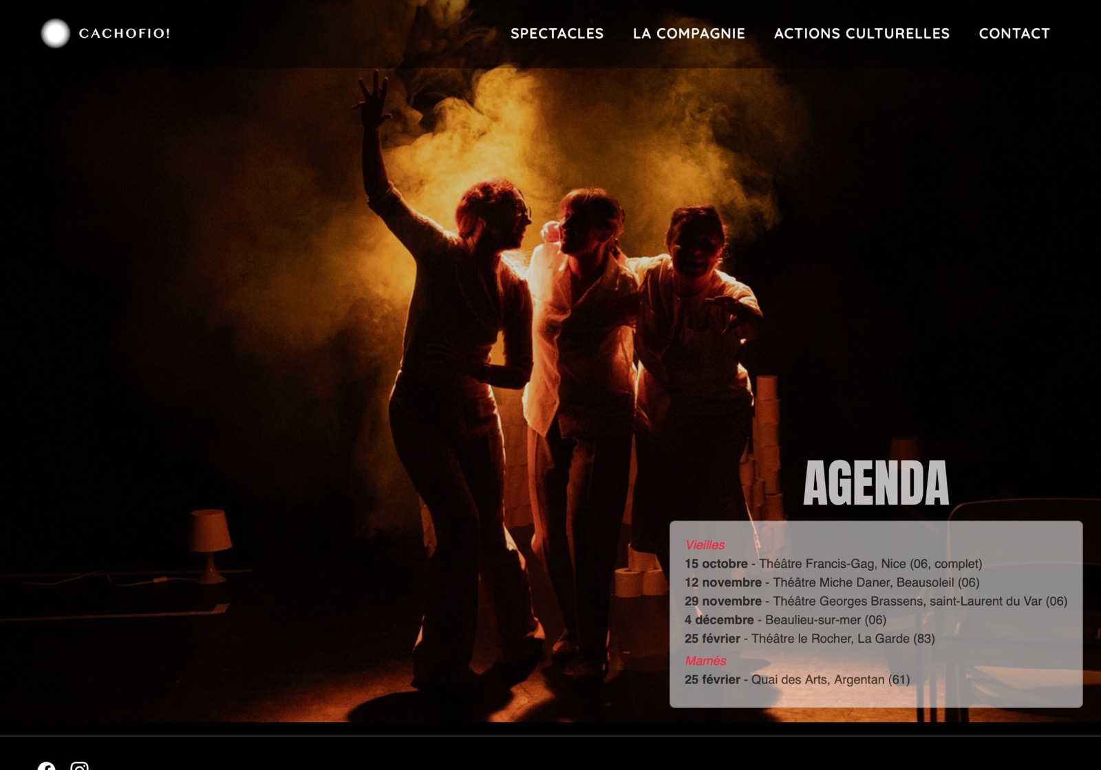 Theatre Company Website