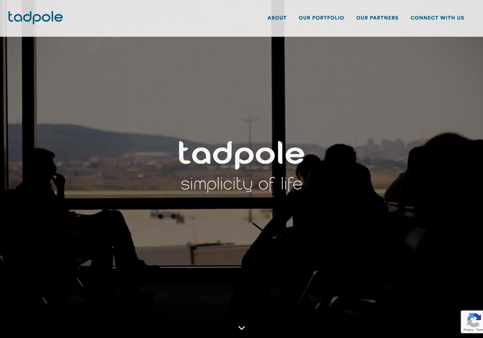 Consulting Company Website