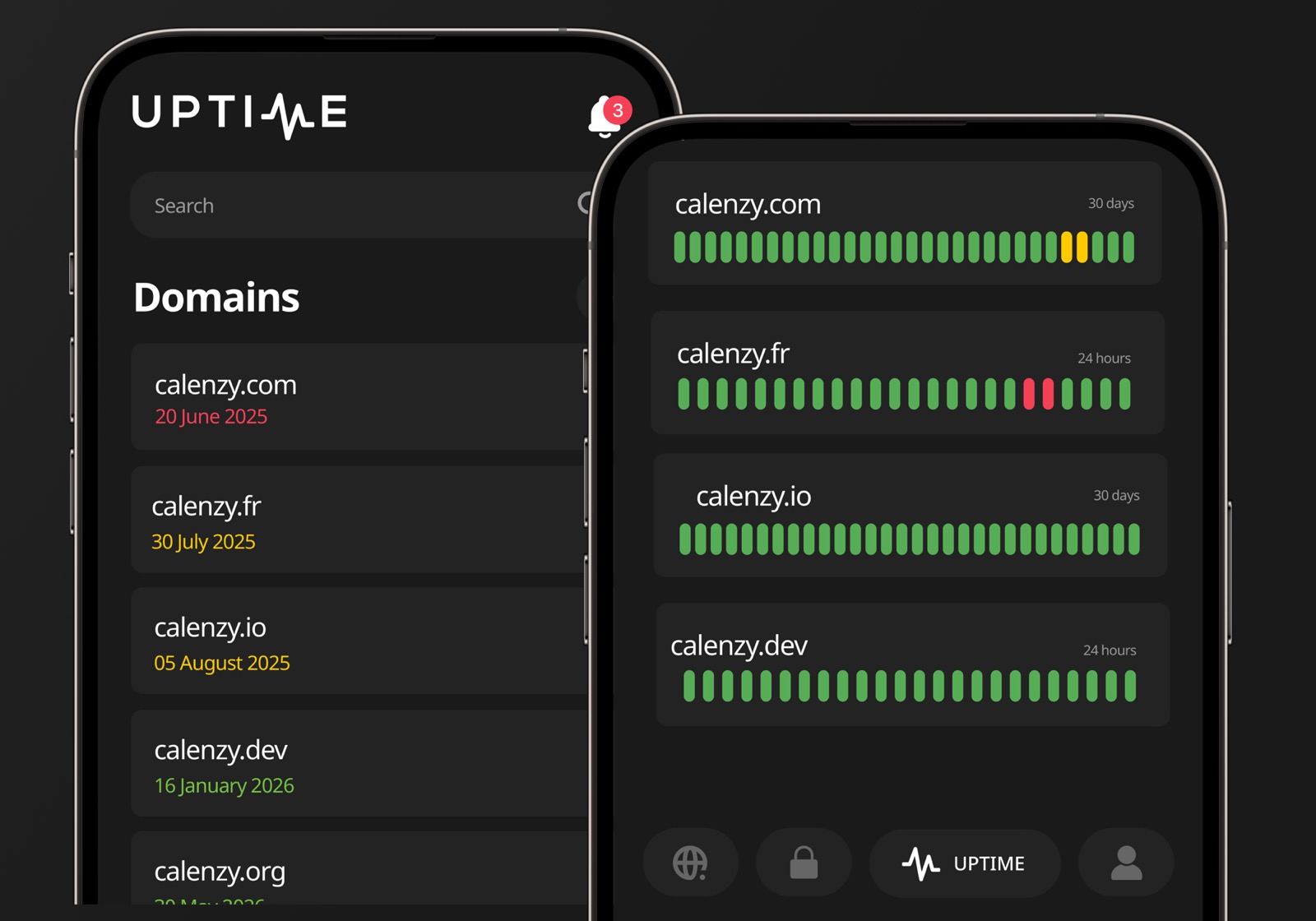 Domains, SSL & Uptime monitoring