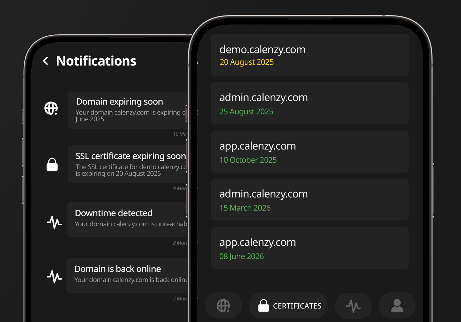 Domains, SSL & Uptime monitoring
